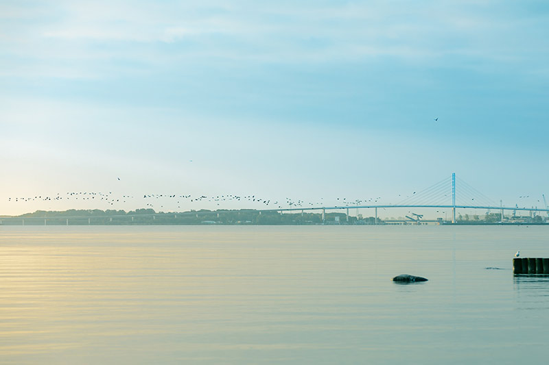 Urlaub auf dem Festland an der Ostsee: Blick auf Rügenbrücke nach Rügen