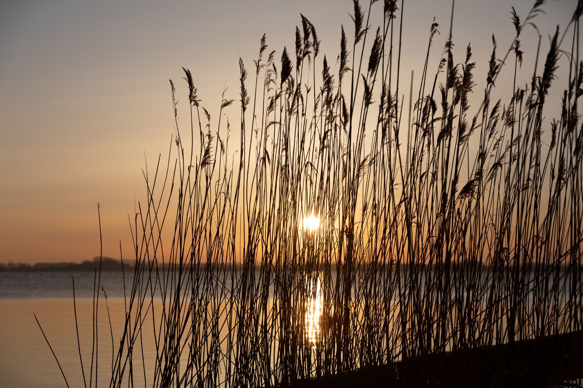 quiet-luxury-moments-im-ferienhaus-nautilus-sonnenaufgang