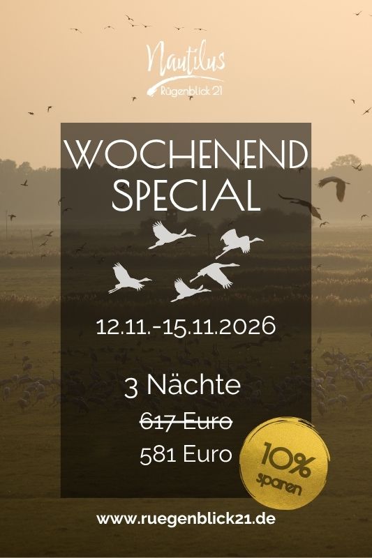 wochenend-special-12.11.-15.11.2026